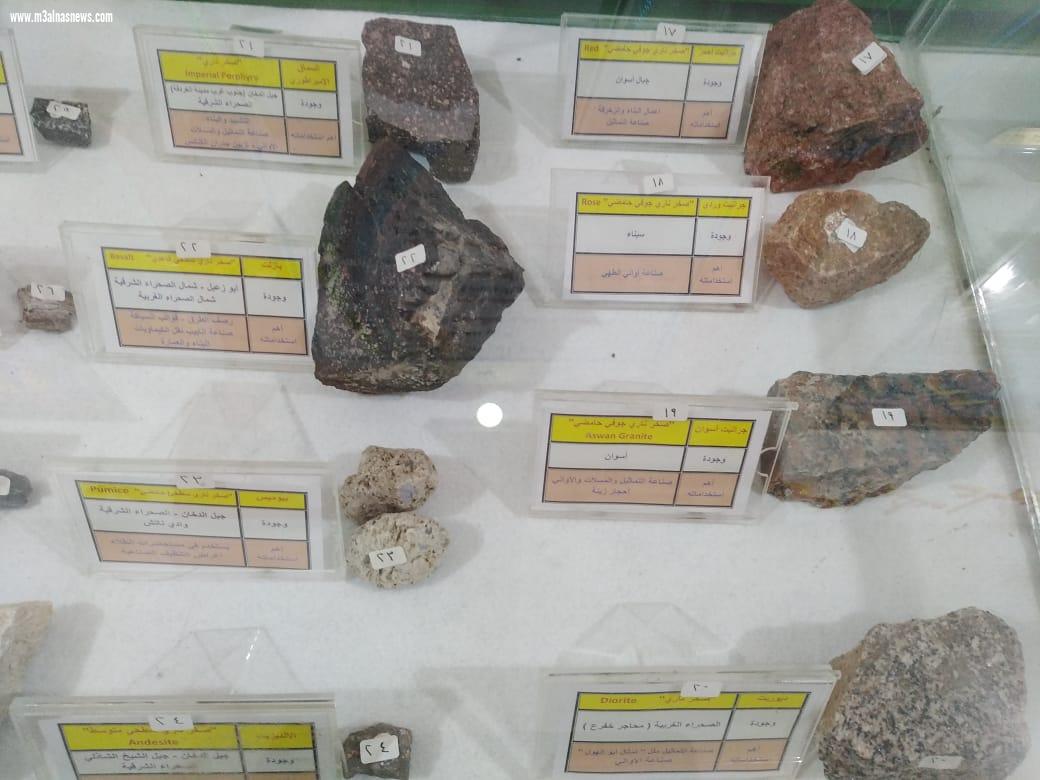   وفد كلية زراعة فرع الأزهر بمحافظة أسيوط في زيارة للمتحف العلمي للأحياء  بمدرسة زراعة كفر الشيخ