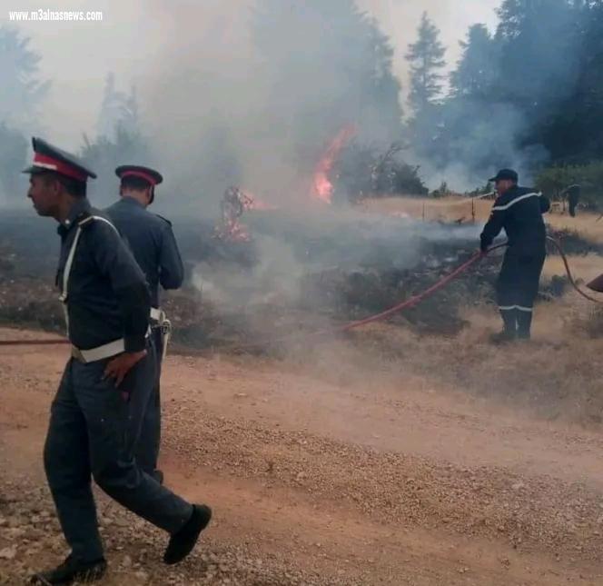 حريق أزرو إقليم إفران بالمغرب