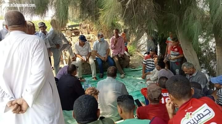 زراعة كفر الشيخ: تنفيذ المدارس الحقلية للنهوض بمحصول الأرز والمحاصيل الصيفية