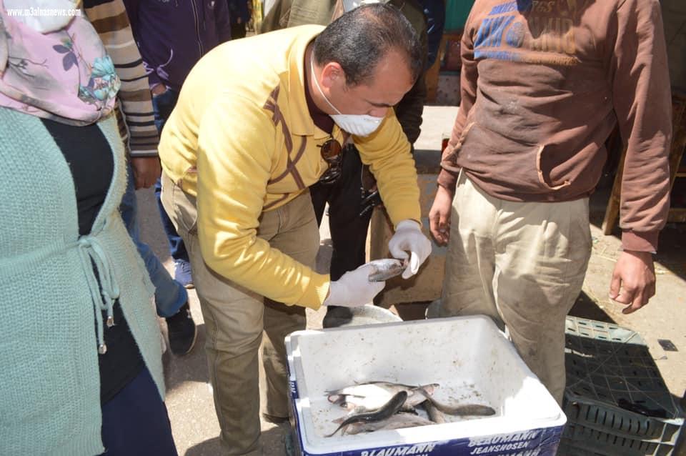 رئيس مدينة مطوبس يتابع تكثيف حملات إحكام السيطرة على الأسواق