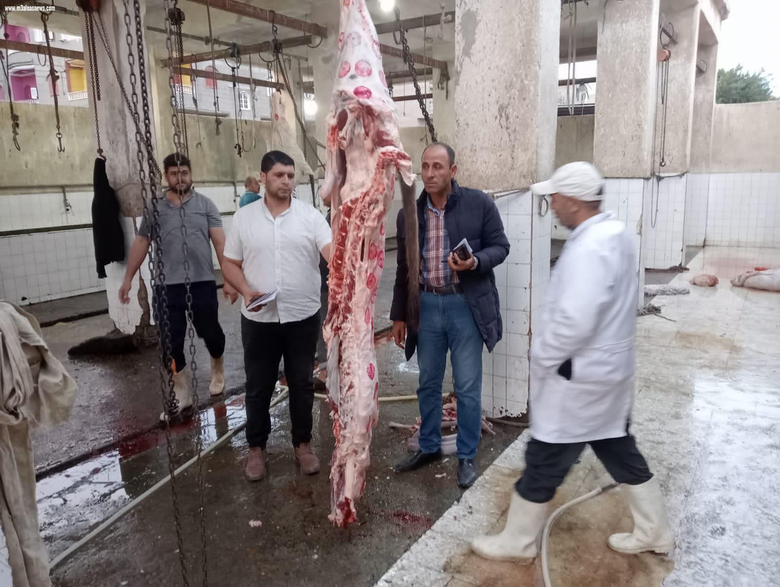 تحرير 219  محضراً متنوعاً بالحملات التموينية لضبط الأسعار والرقابة على الأسواق والمخابز بكفر الشيخ 