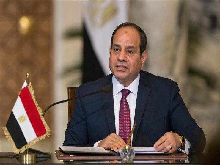 السيسي يخصص 19 ألف فدان في 4 محافظات لمشروعات الإنتاج الداجني