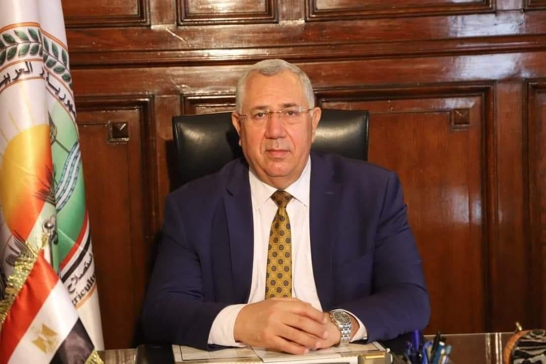 الزراعة تعلن فتح السوق الاندونيسي أمام البصل المصري