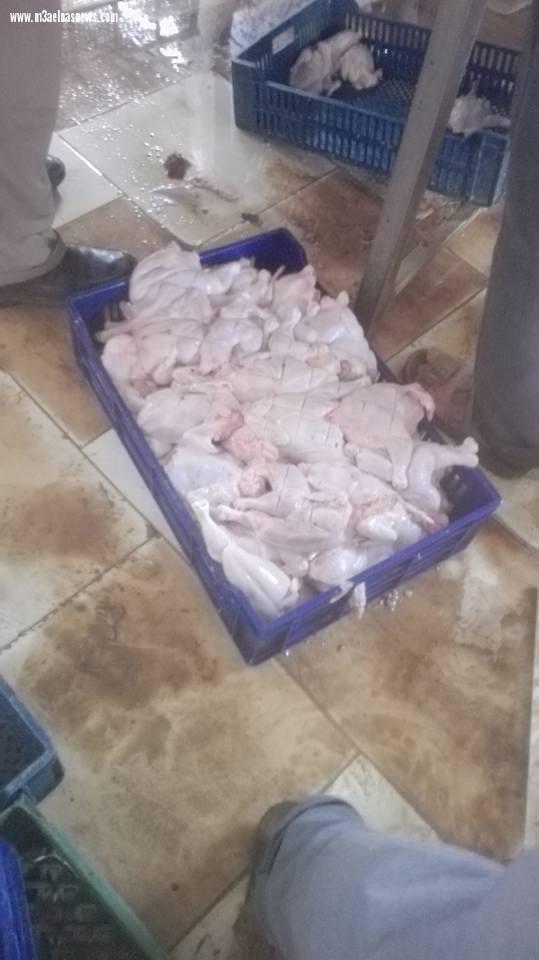 ​ بالصور|ضبط أكثر من 100كيلو دواجن غير صالحة للاستهلاك الآدمى في بيلا بكفر الشيخ