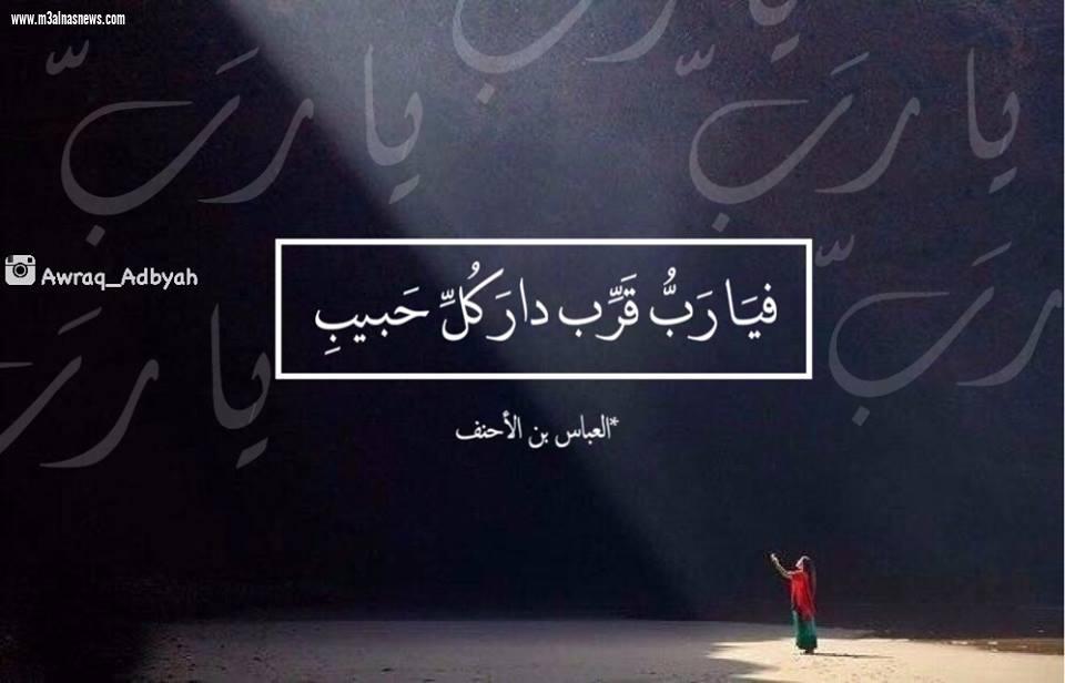 السعيد عبد العاطي مبارك الفايد يكتب عن الشاعر العباس بن الأحنف