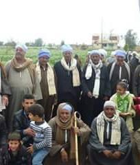 لصوص المواشى يهددون حياة البدو الرحل بكفر الشيخ