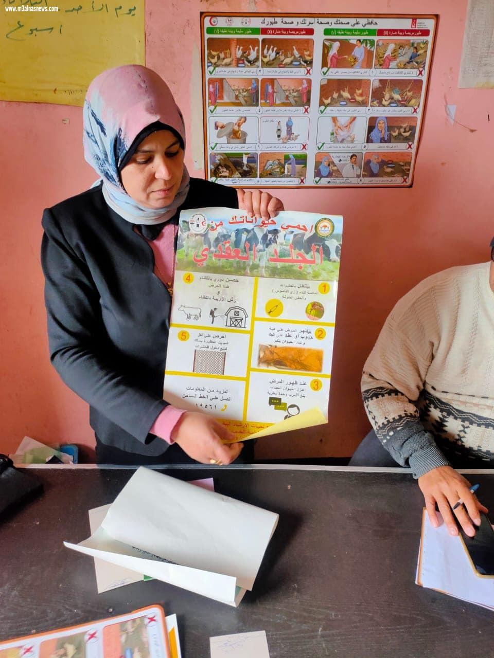 تحصين 20 ألف و170 طائر و ندوات إرشادية عن أهمية التحصينات ضد مرض الجلد العقدى وجدري الأغنام بكفر الشيخ