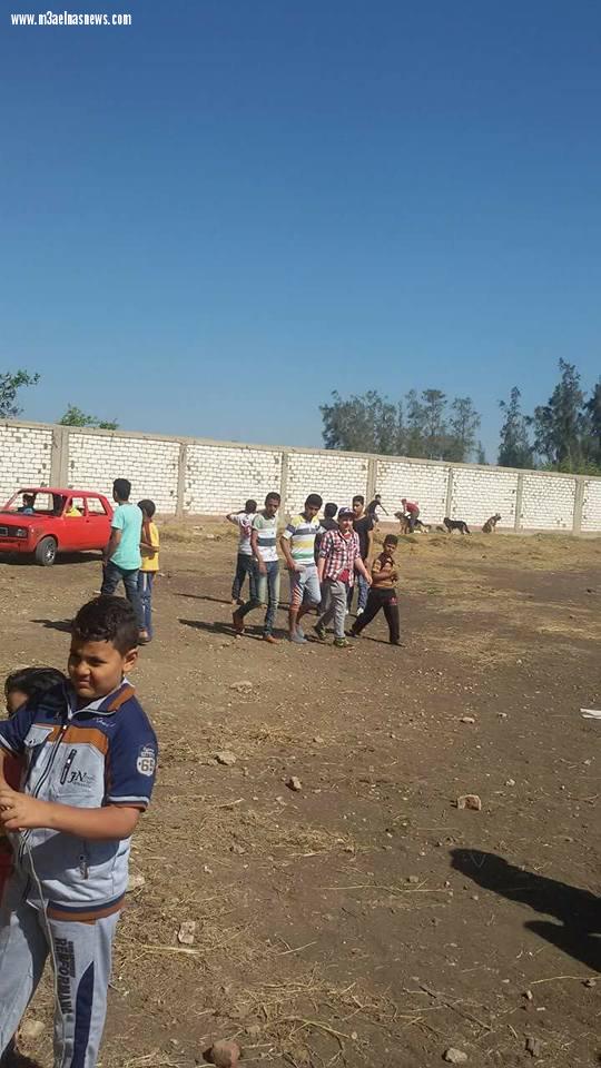بالصور | أول سوق للكلاب بمدينة بيلا كفر الشيخ والأسعار من من 5 إلى 60 ألف جنيه