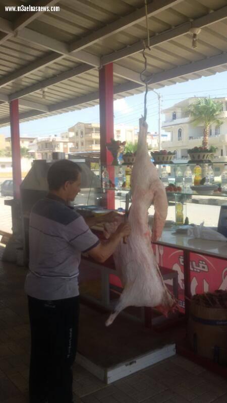 بالصور| افتتاح قرية العربى السياحية بمصيف بلطيم فى أعياد الربيع وشم النسيم