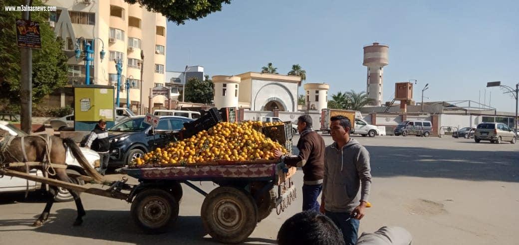 محافظ أسيوط: مصادرة 40 شيشة وإزالة ورفع اشغالات الباعة الجائلين خلال حملة مكبرة بحي شرق
