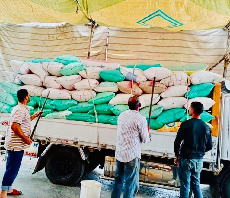 تموين كفرالشيخ يعلن توريد 39 ألف طن قمح منذ بداية موسم الحصاد