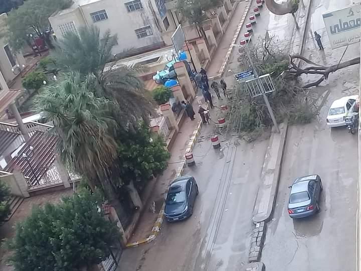 لسوء الأحوال الجوية.. تحطم سيارة ملاكى بعد سقوط شجرة ضخمة عليها بكفرالشيخ