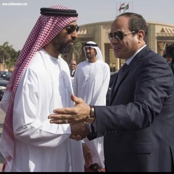 موتمر مستقبل مصر يبداء بالفكر الزراعي الاخضر