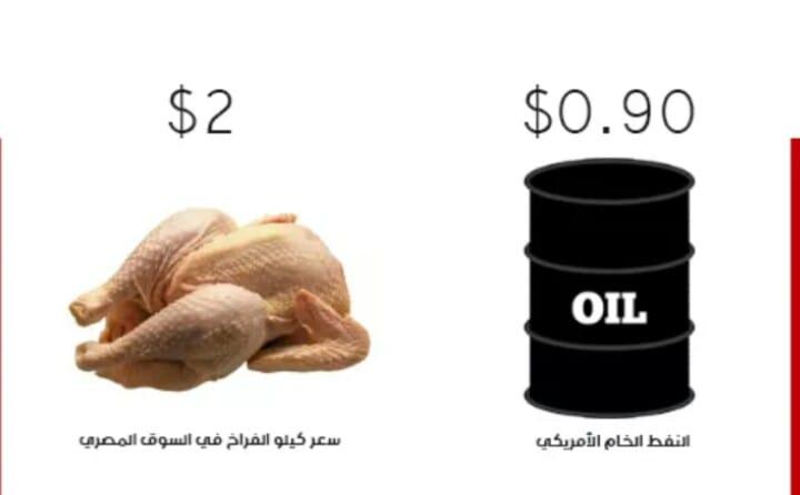 سعر كيلو الفراخ ضعف برميل الخام مع انهيار النفط عالمياً
