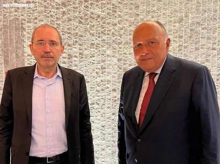 وزير الخارجية المصري يلتقي نظيره الأردني على هامش منتدى دافوس