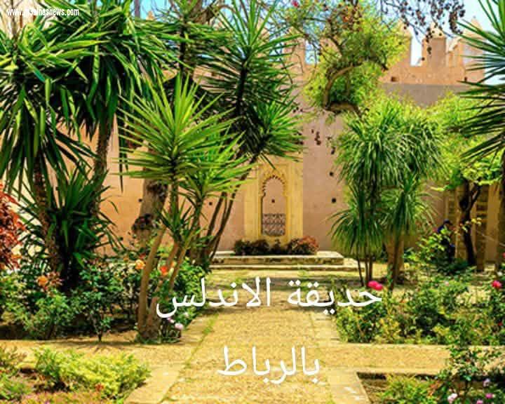 سمية مدغري علوي تكتب.. مدينة الرباط عاصمة الأنوار و الملتقى التاريخي للمغرب.
