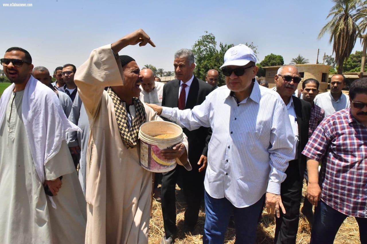 توريد القمح واستلام 49 ألف طن قمح بالصوامع والشون بأسيوط