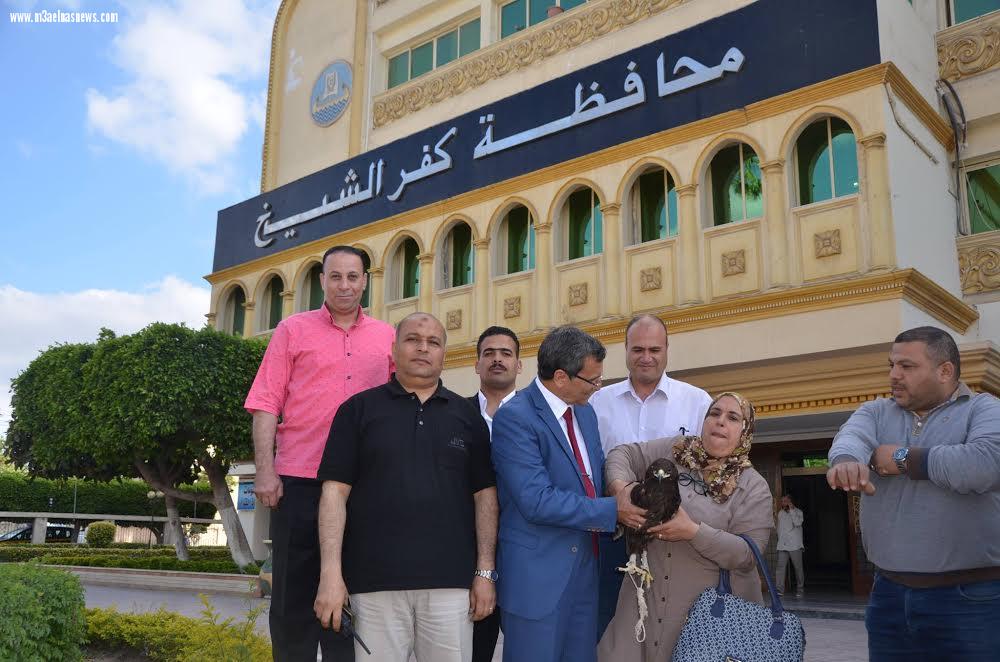 نسر يلجأ لديوان كفر الشيخ هربًا من غربان.. والمحافظ يشكل لجنة لرعايته