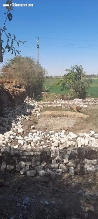 إزالة 20 حالة تعد على الاراضي الزراعية  ثان ايام عيد الفطر