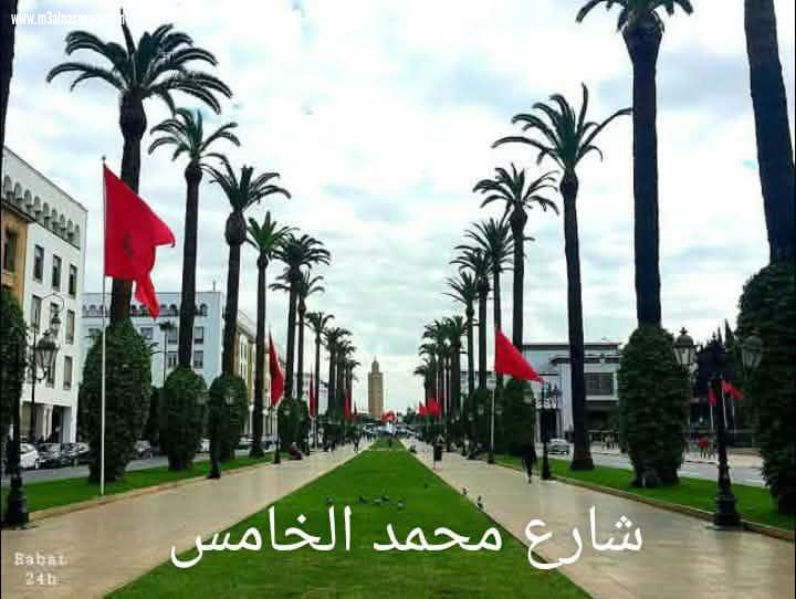 سمية مدغري علوي تكتب.. مدينة الرباط عاصمة الأنوار و الملتقى التاريخي للمغرب.