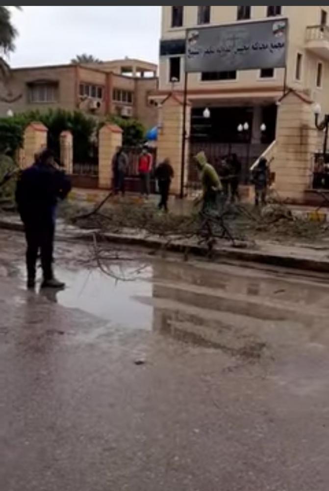 لسوء الأحوال الجوية.. تحطم سيارة ملاكى بعد سقوط شجرة ضخمة عليها بكفرالشيخ