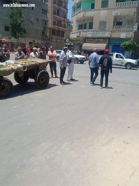 الدقهلية : إستمرار تنفيذ حملات الاشغالات والبيئة لضبط شوارع المنزلة