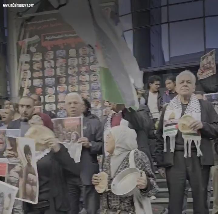 بالصور: صباحى ... يشارك الصحفيين تظاهرهم دعما لفلسطين على سلالم النقابه