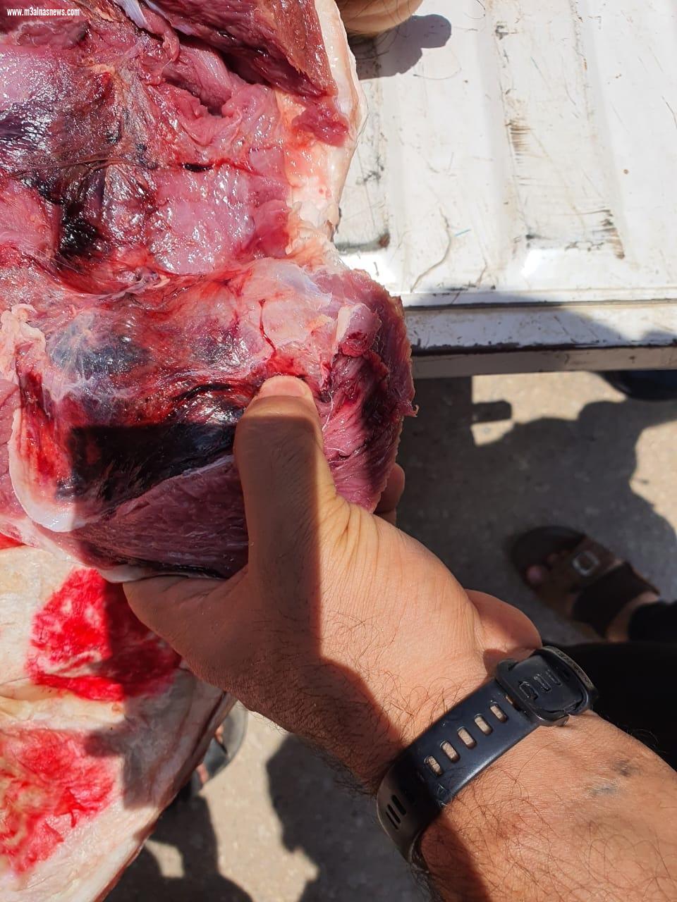 تحصين 96 ألف رأس ماشية و ضبط 11 طن و 780 كيلو لحوم وأسماك خلال شهر