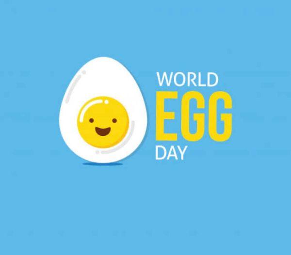 الدكتور يوسف العبد يكتب عن..اليوم العالمي للبيض