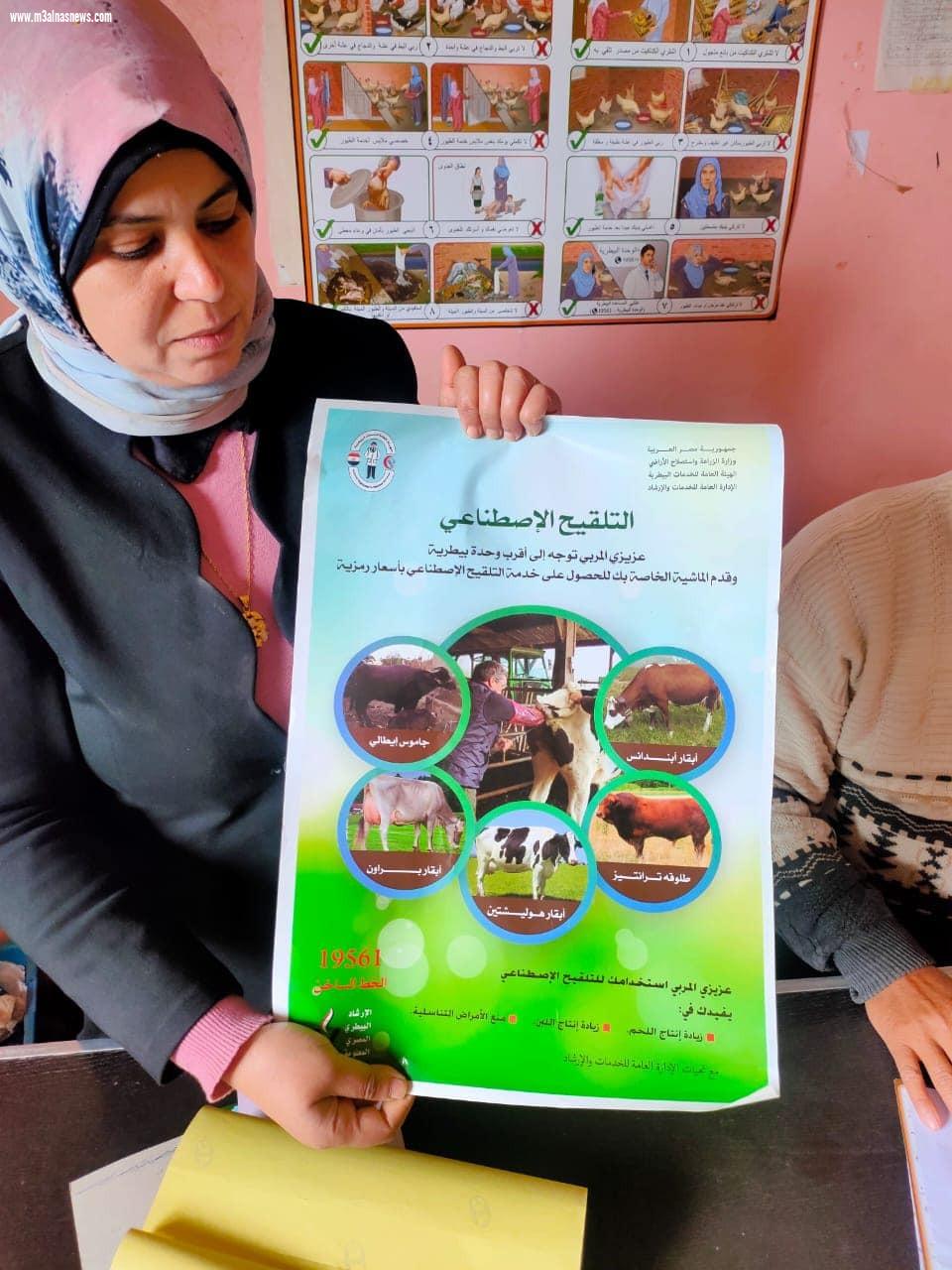 تحصين 20 ألف و170 طائر و ندوات إرشادية عن أهمية التحصينات ضد مرض الجلد العقدى وجدري الأغنام بكفر الشيخ