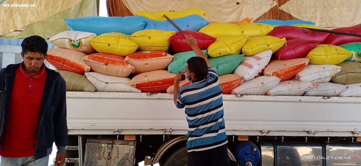 تموين كفرالشيخ : توريد62 ألف طن من الأقماح