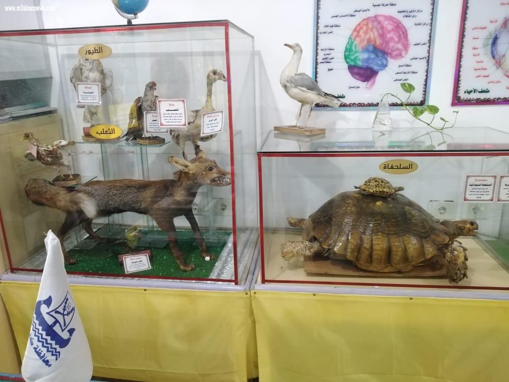   وفد كلية زراعة فرع الأزهر بمحافظة أسيوط في زيارة للمتحف العلمي للأحياء  بمدرسة زراعة كفر الشيخ