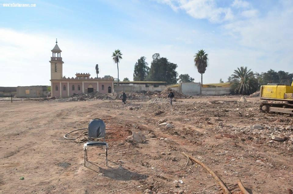 محافظ كفرالشيخ: إعادة إنشاء مصنع ألبان سخا على مساحة 5 أفدنة لإنتاج جميع أنواع الألبان وتوفير 3000 فرصة عمل