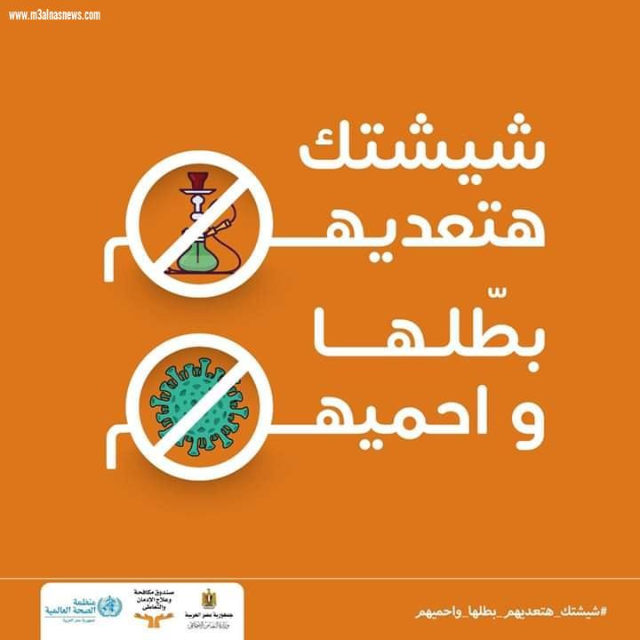 شيشتك هتعديهم .. بطلها واحميهم
