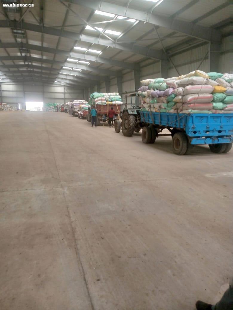 تموين كفرالشيخ : توريد 144 ألف طن قمح 