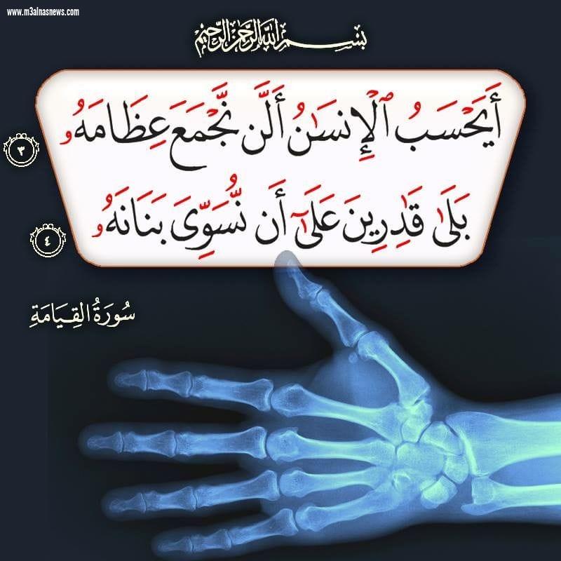 ايحسب الانسان ان يترك سدي