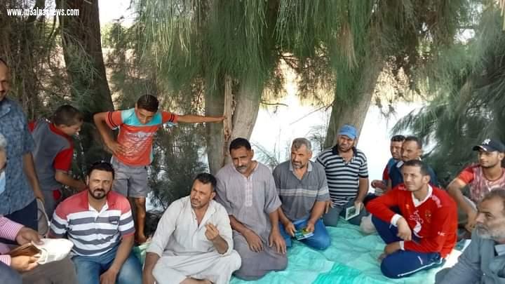 زراعة كفر الشيخ: تنفيذ المدارس الحقلية للنهوض بمحصول الأرز والمحاصيل الصيفية