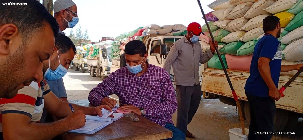 تموين كفرالشيخ : توريد 144 ألف طن قمح 