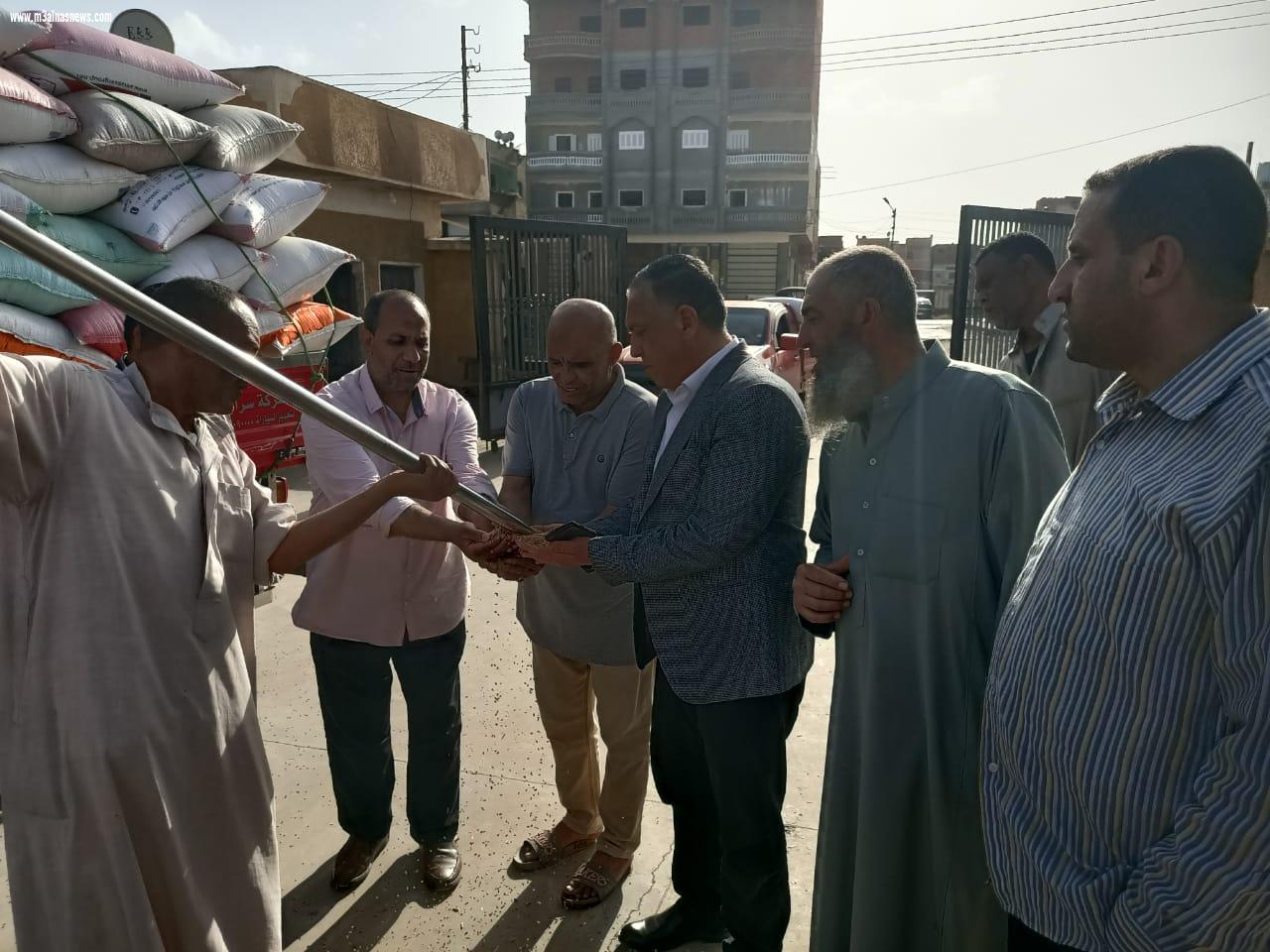 تموين كفر الشيخ ... توفير 25 موقع لاستلام القمح من المزارعين 