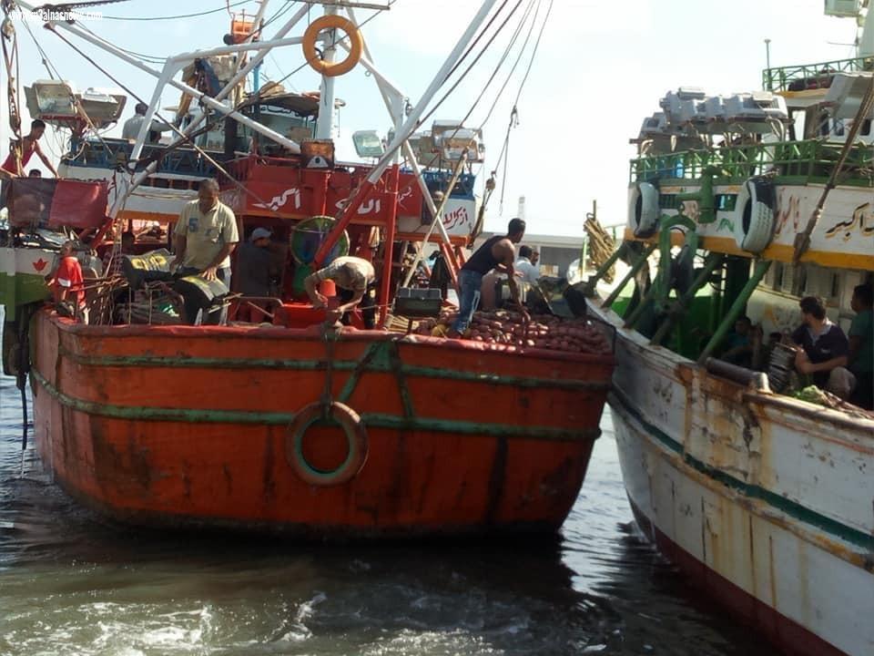 استئناف حركة الملاحة بميناء صيد البرلس لتحسن الأحوال الجوية بعد توقف لمدة 4 أيام