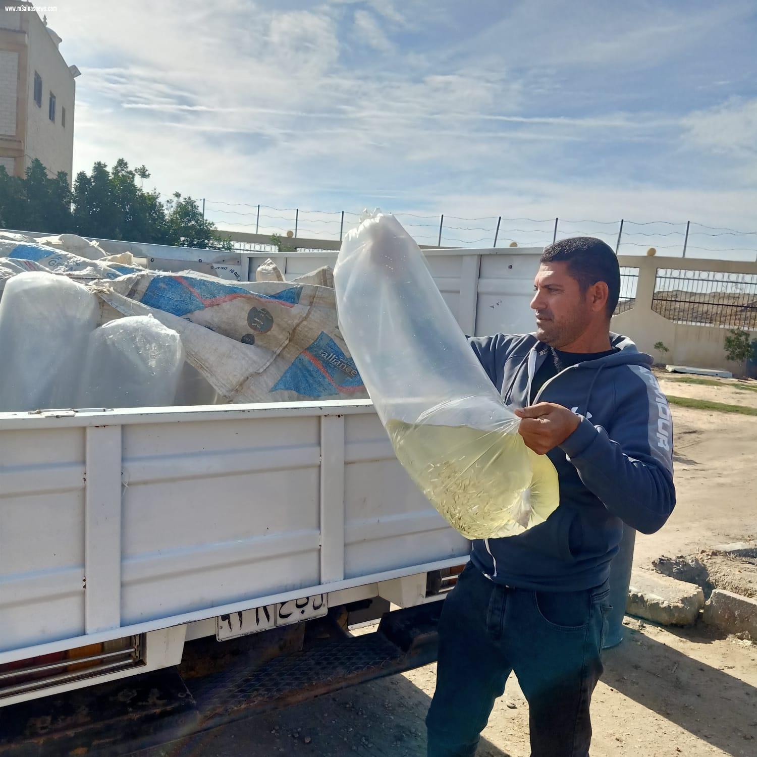  ضبط سيارتين محملة ب 12700وحدة زريعة بكفر الشيخ واعادة ضخها ببحيرة البرلس