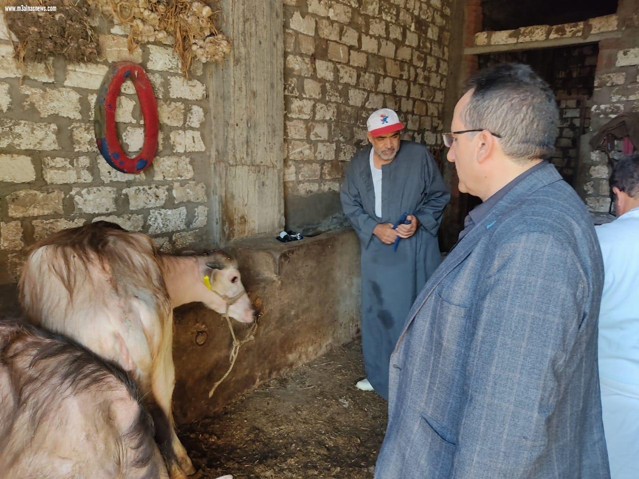 تحصين 96 ألف رأس ماشية و ضبط 11 طن و 780 كيلو لحوم وأسماك خلال شهر