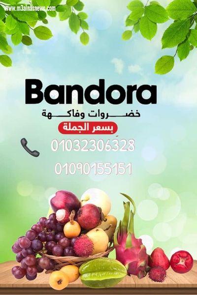 افتتاح سلسة محلات bandora لبيع الخضار والفاكهة بسعر الجمله للمستهلك