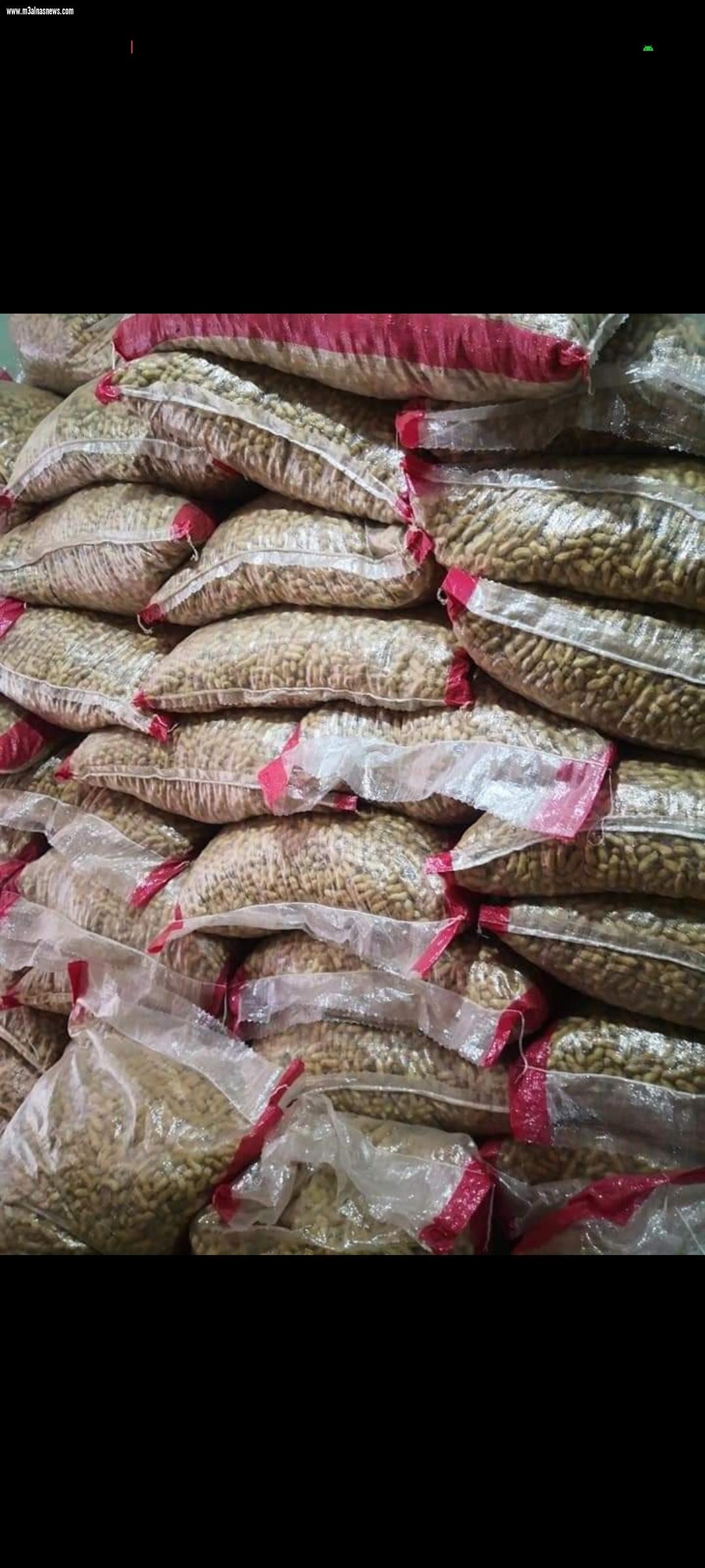  كفرالشيخ تستقبل شهر رمضان بالفوانيس والياميش