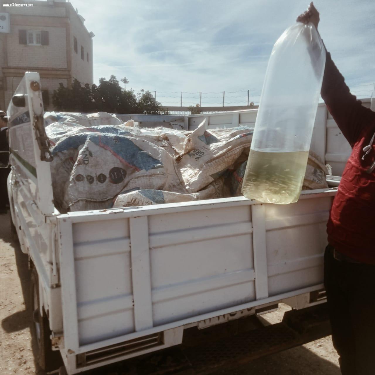  ضبط سيارتين محملة ب 12700وحدة زريعة بكفر الشيخ واعادة ضخها ببحيرة البرلس