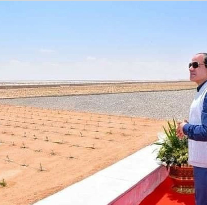 مشاريع الزراعة والري التي قدمها السيسي لمصر خلال 6 سنوات 