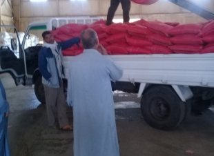 الزراعة تتابع استلام تقاوى خام المحاصيل الشتوية في 14 محطة على مستوى الجمهورية - صور