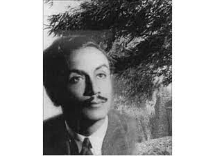 الشاعر صالح الشرنوبى فى ذاكرة التاريخ