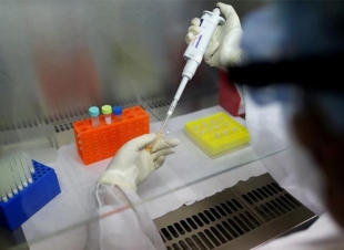 بشرى سارة.. علاج 