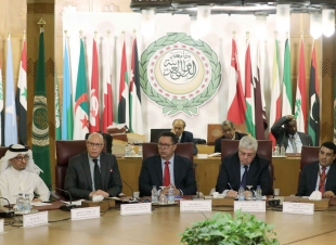  ممثلو الدول العربية اجتمعوا علي خطة تنفيذية ومشروعات محددة مشتركة